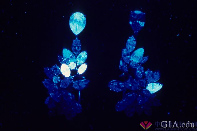 3在紫外线灯下观察时，这对耳环上的钻石呈现不同程度的钻石荧光。