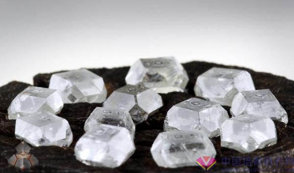 培育钻石以及立方氧化锆、莫桑石等钻石仿制品的真相